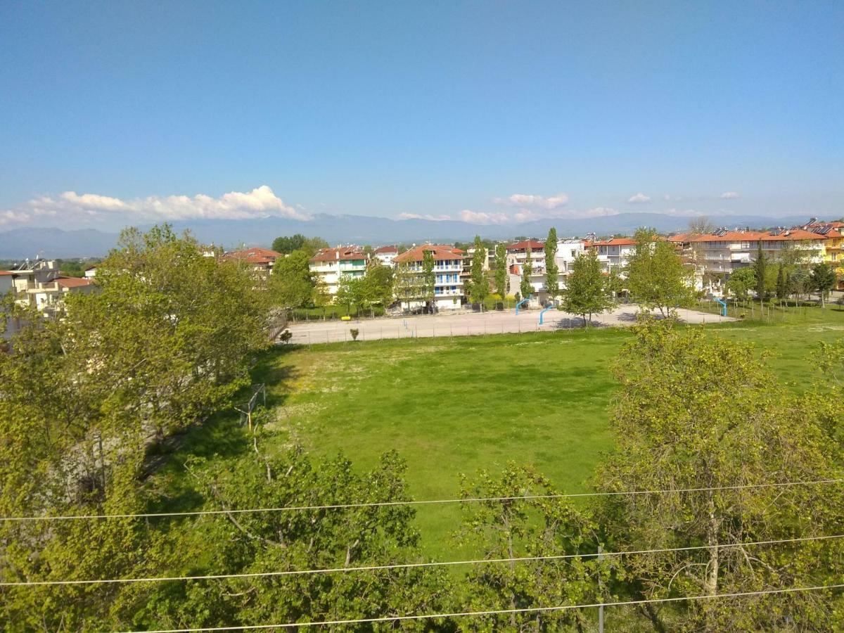 Villa Elli Olympiakí Aktí Exteriör bild